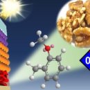 태양식품 이미지
