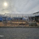 경주농장 제2농장 이미지