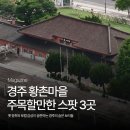 10월 30일(월) APEC 정상회담과 이와 관련된 경주 이야기 이미지