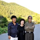 군민의날 공연 이미지