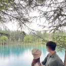 라 비 채 이미지