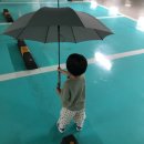 수수스킨&바디