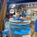 새마산활어횟집