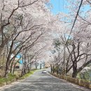 가천목장 이미지