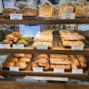 폭스브롯 이미지