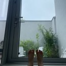 안유재 | 밀양 펜션 ‘안유재’ 내가 원하던 포근한 느낌! / 내돈내산