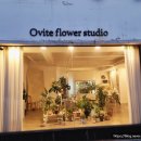 오비5길 이미지