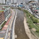 양지천 마평동 이미지