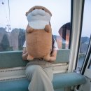 왕피천 은어길 | 여름휴가 추천 울진 왕피천 케이블카 야경 망양정 공원 은어 다리