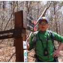 유가사등산로 이미지