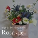 특별한 날 부산 꽃 선물 꽃바구니 배달 로사드(Rosa:de) 대만족 찐후기