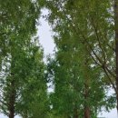 명소공인중개사사무소 이미지