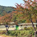 오서산 주차장 화장실 이미지