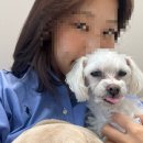 카페인포니 | 평일에 고생한 나를 위한 주말기록(드래곤포니 콘서트, 춘천 라이딩, 직박구리)