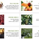 땅끝햇살고추