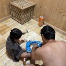 더보문풀빌라 이미지