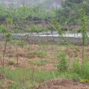 임해농장 이미지