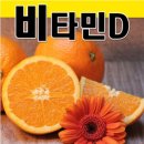 핑크팬더즈 이미지
