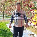 신신농장 이미지