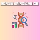 에이플러스에셋부산빌딩(메타타워) | 개인확인용 친자 확인 검사란? 정확한 이해와 활용 가이드