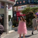 수지장갑 이미지