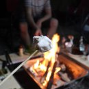 명학산 캠핑장 이미지