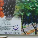 고향마을경로당 이미지