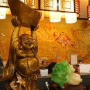 경화 대 반점 이미지