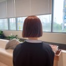 찰스리헤어테크 평택용이점 후기