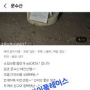 산본로451 이미지