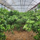 꽃내음하우스 이미지