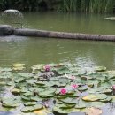 백두대간약초나라 이미지