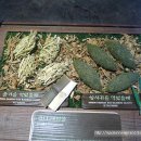 강아지똥 이미지