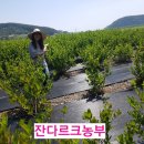 팔팔농장