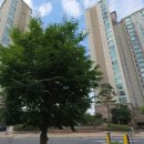 용산-이촌-430 이미지