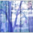 디자인H커튼 이미지