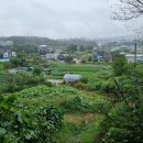 원주굽이길 4코스 꽃양귀비길 이미지