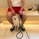 정훈동물병원 네이버블로그