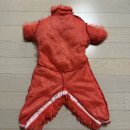 300일 아기 셀프촬영 - 모모데이(아기셀프촬영 포토박스 소품대여) 쿠키몬스터 컨셉 내돈내산 대실망 후기