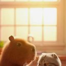 달콤한 아침 이미지