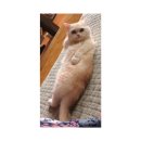 한솔프라자약국 이미지