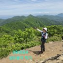 윤희 - 서구 | 윤희