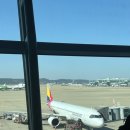 아시아나 아사히카와 직항 OZ153 OZ154 탑승 후기 (A321-neo 항공기 좌석 기내식 등)