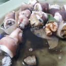 낙지나라 이미지