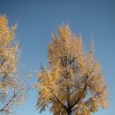 비로소 가을 이미지