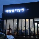 카페베리파이브