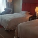 메이저호텔 이미지