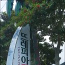 뜨레피아 이미지
