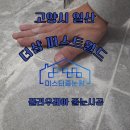 더샵퍼스트월드H동 | 오산 줄눈 업체 미스터줄눈왕｜고양시 일산 더샵 퍼스트월드 화장실 줄눈 시공 후기!