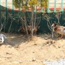 여주곤충박물관 이미지